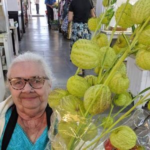 Meet your Posher, Susan